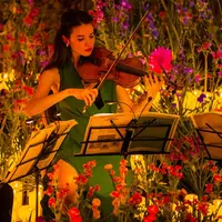 Candlelight : le meilleur de Bridgerton par un ensemble à cordes à Lille DR