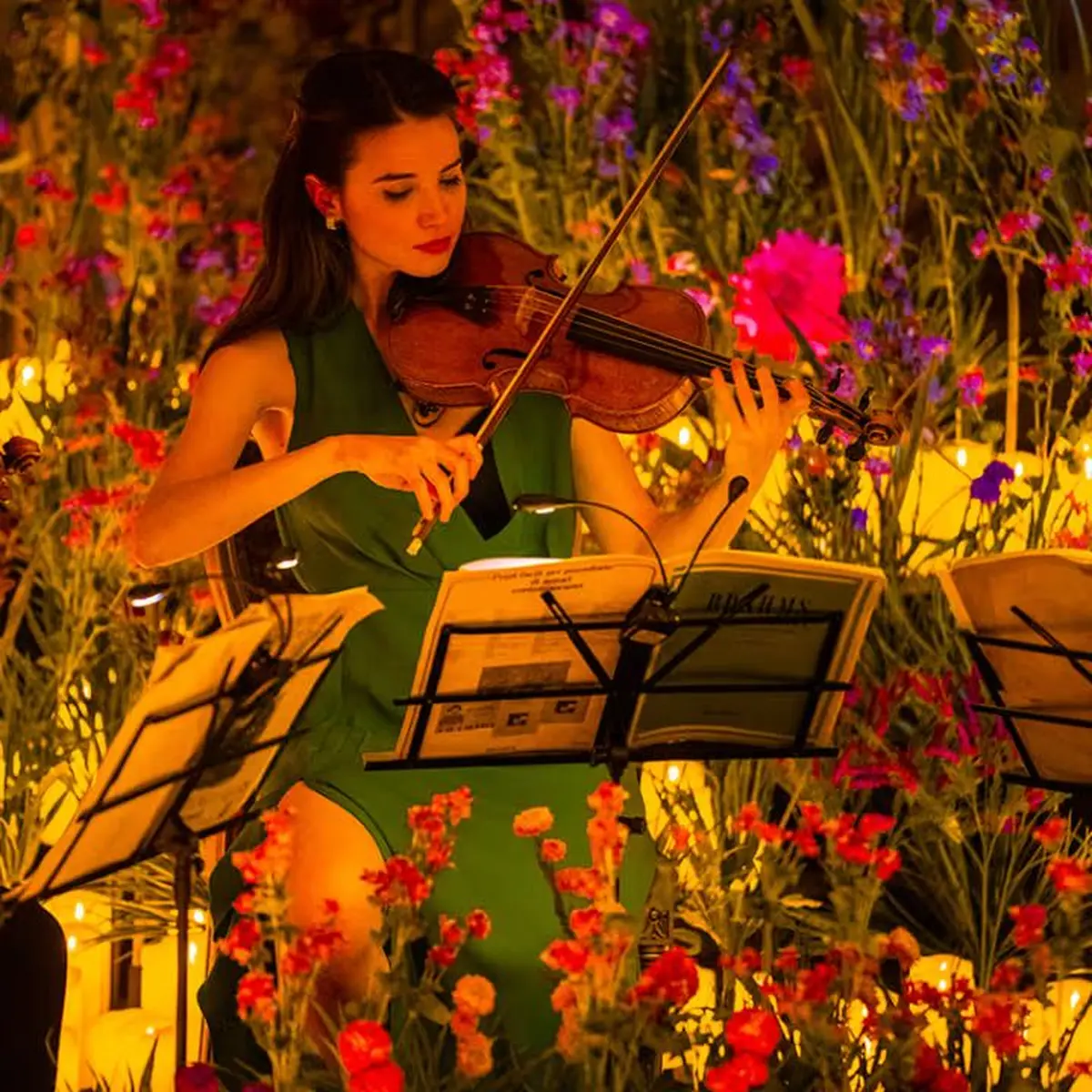 Candlelight : le meilleur de Bridgerton par un ensemble à cordes à Paris