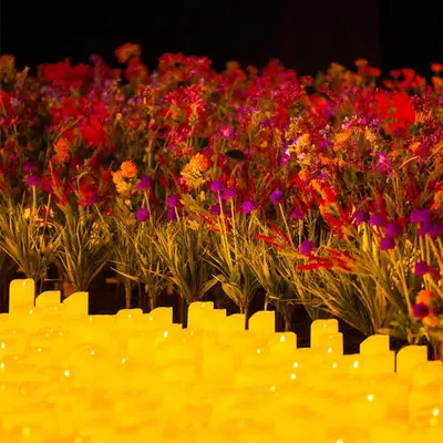 Candlelight : le meilleur de Bridgerton par un ensemble à cordes