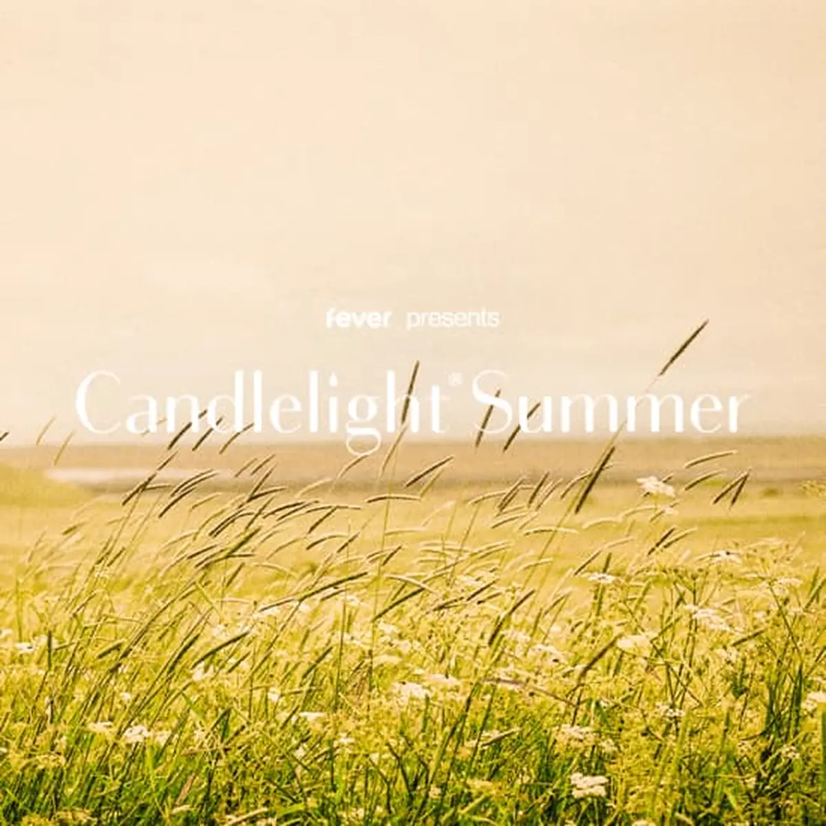 Candlelight : Les 4 Saisons de Vivaldi