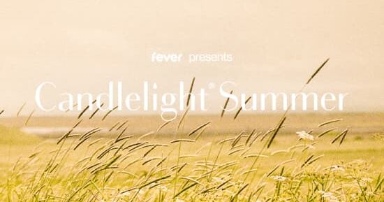 Où sortir en Avignon ce week-end du 5 au 7 décembre ? Notre top 3