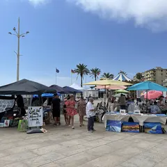 Canet ‘art: édition 2026