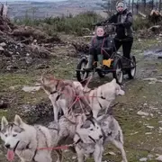 Cani-Kart aux Monts d'Arrée (29)