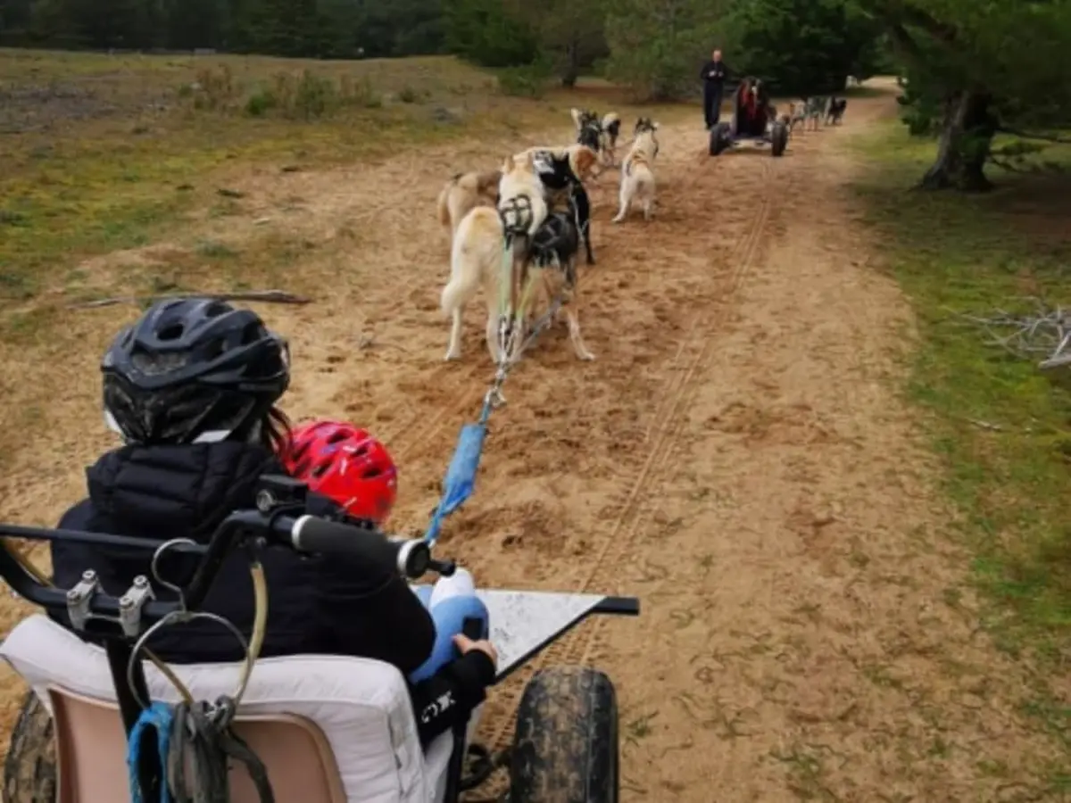Cani-kart avec des chiens de traîneau à la Ferrière (85)
