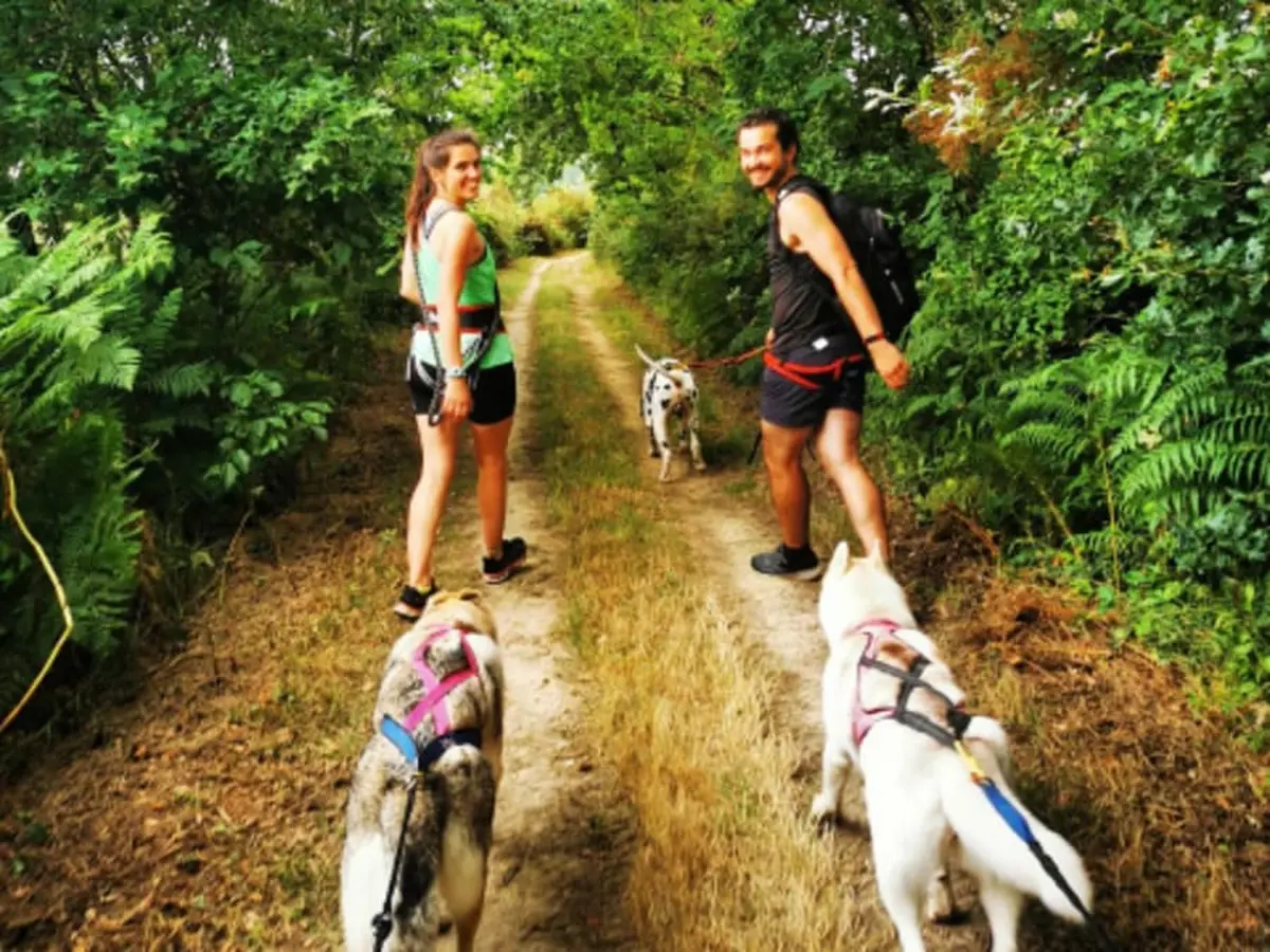 Cani-rando à la Ferrière (85)