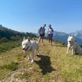 Cani-Rando dans la for&ecirc;t du Bager &agrave; Oloron-Sainte-Marie (64)