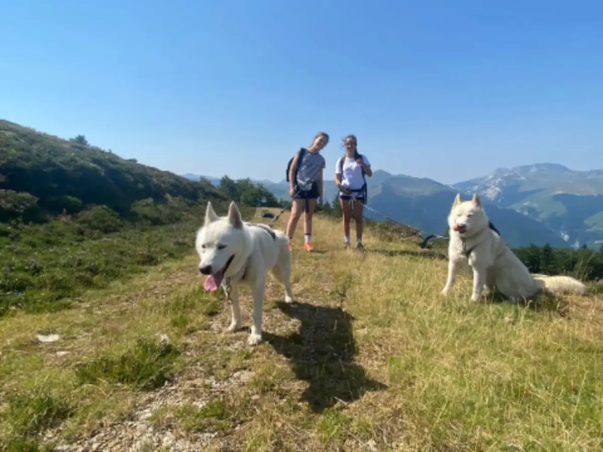 Cani-Rando dans la forêt du Bager à Oloron-Sainte-Marie (64)