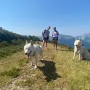 Cani-Rando dans la forêt du Bager à Oloron-Sainte-Marie (64)