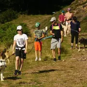 Cani-Rando dans la forêt du Braca à la Pierre Saint-Martin (64)