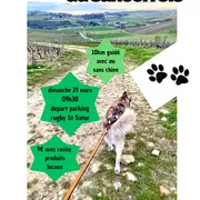 Cani Rando du Sancerrois