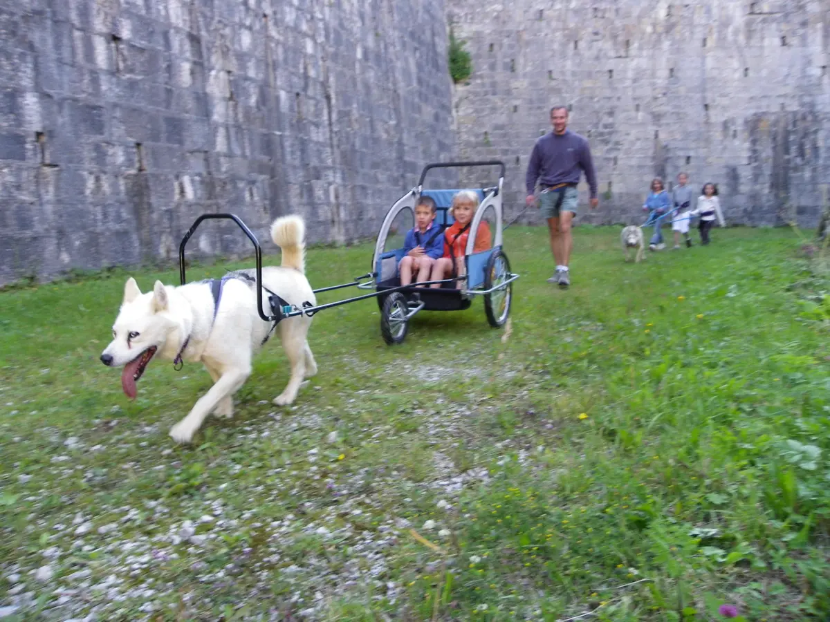 Cani rando et sulky familles
