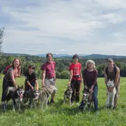 Cani-rando près de Sancy (63)