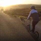 Cani-trottinette aux Monts d'Arr&eacute;e (29)