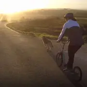 Cani-trottinette aux Monts d'Arrée (29)