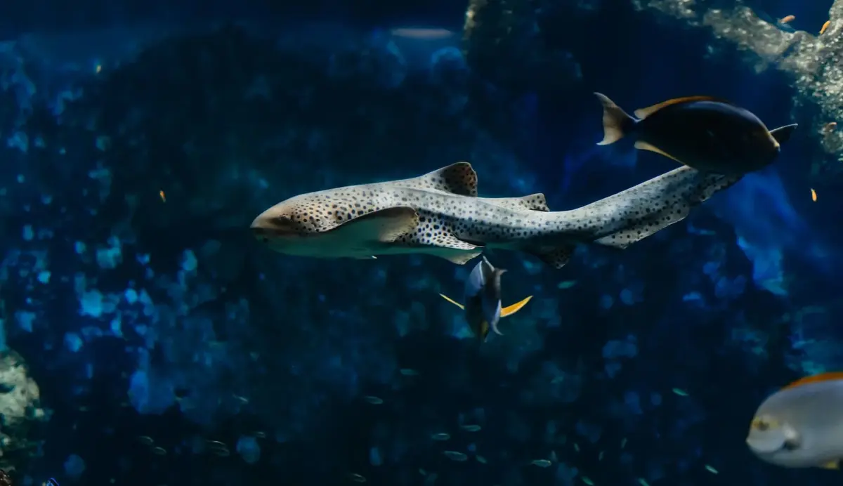 Aquarium de Lyon