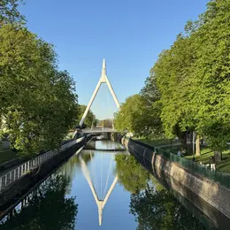 Canicule à Mulhouse : où aller pour se rafraîchir sans quitter la ville ?