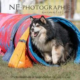 Canifun, Le Week-End Du Chien - 5ème édition