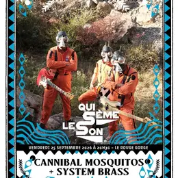 CANNIBAL MOSQUITOS + SYSTEM BRASS // Qui Sème Le Son par Diff'art