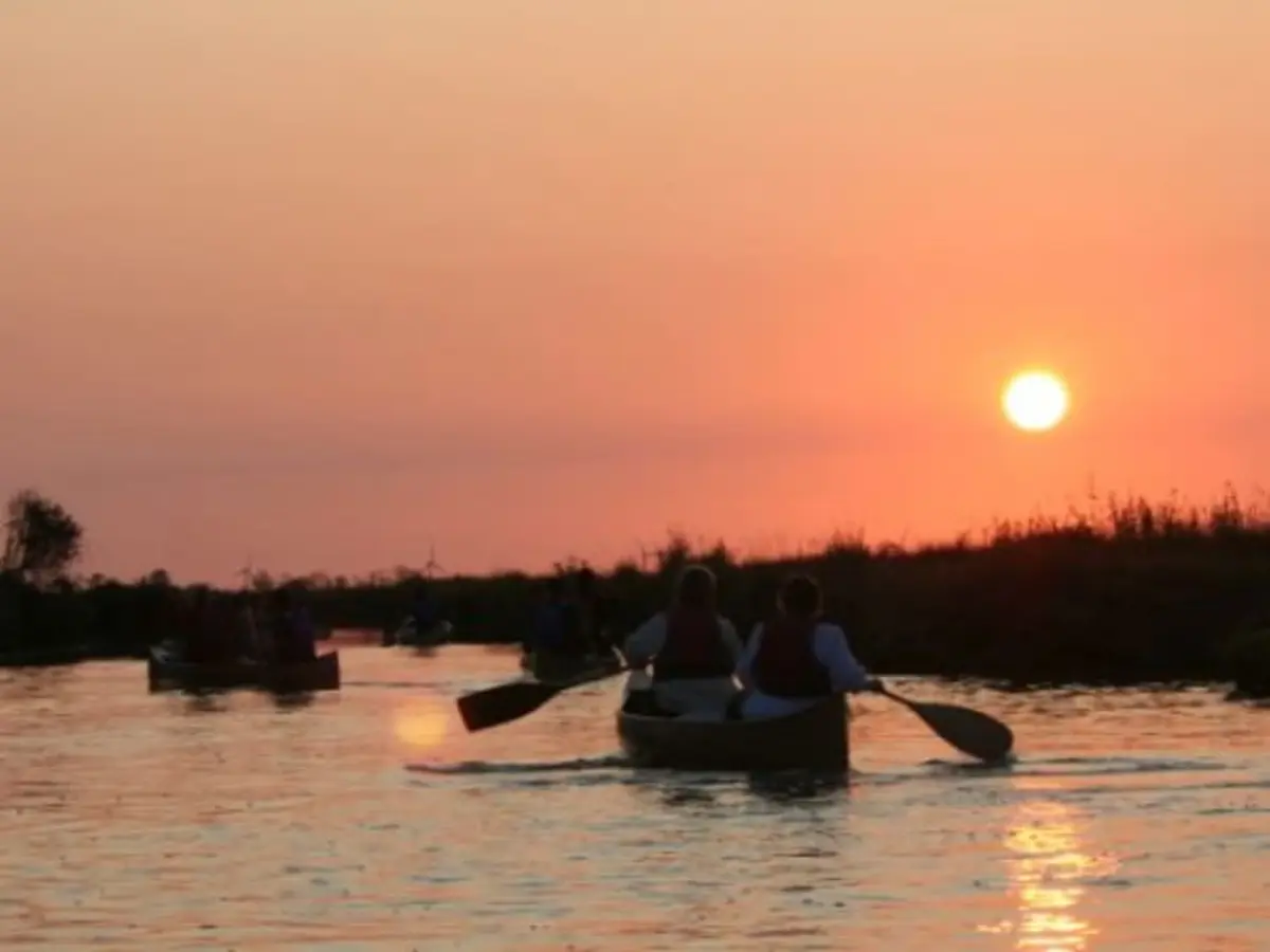 Canoë  pique-nique à Sallertaine (85)