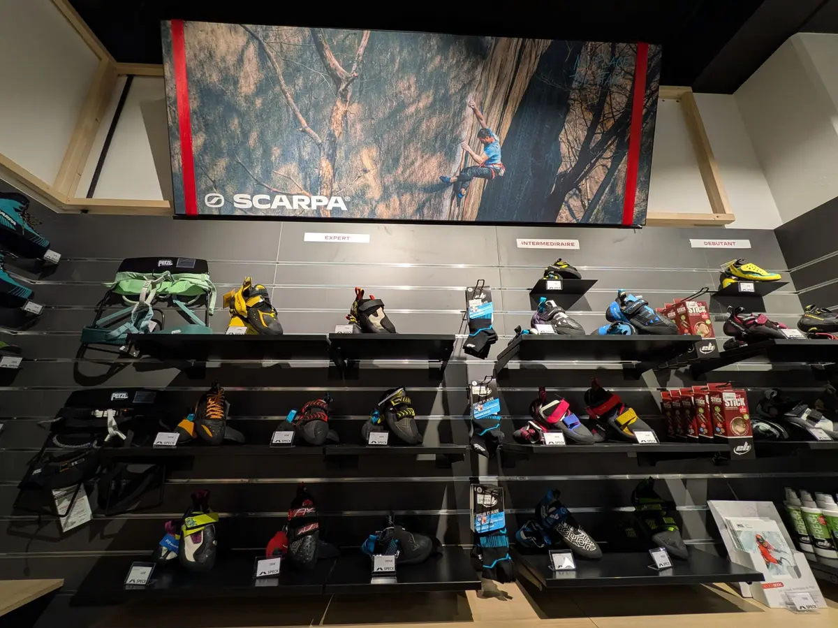 Cap sur les sommets : Speck Sports, spécialiste du ski et de l'outdoor