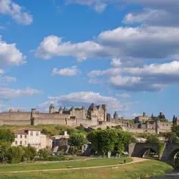Carcassonne : Excursion d'une journée depuis Toulouse + guide audio