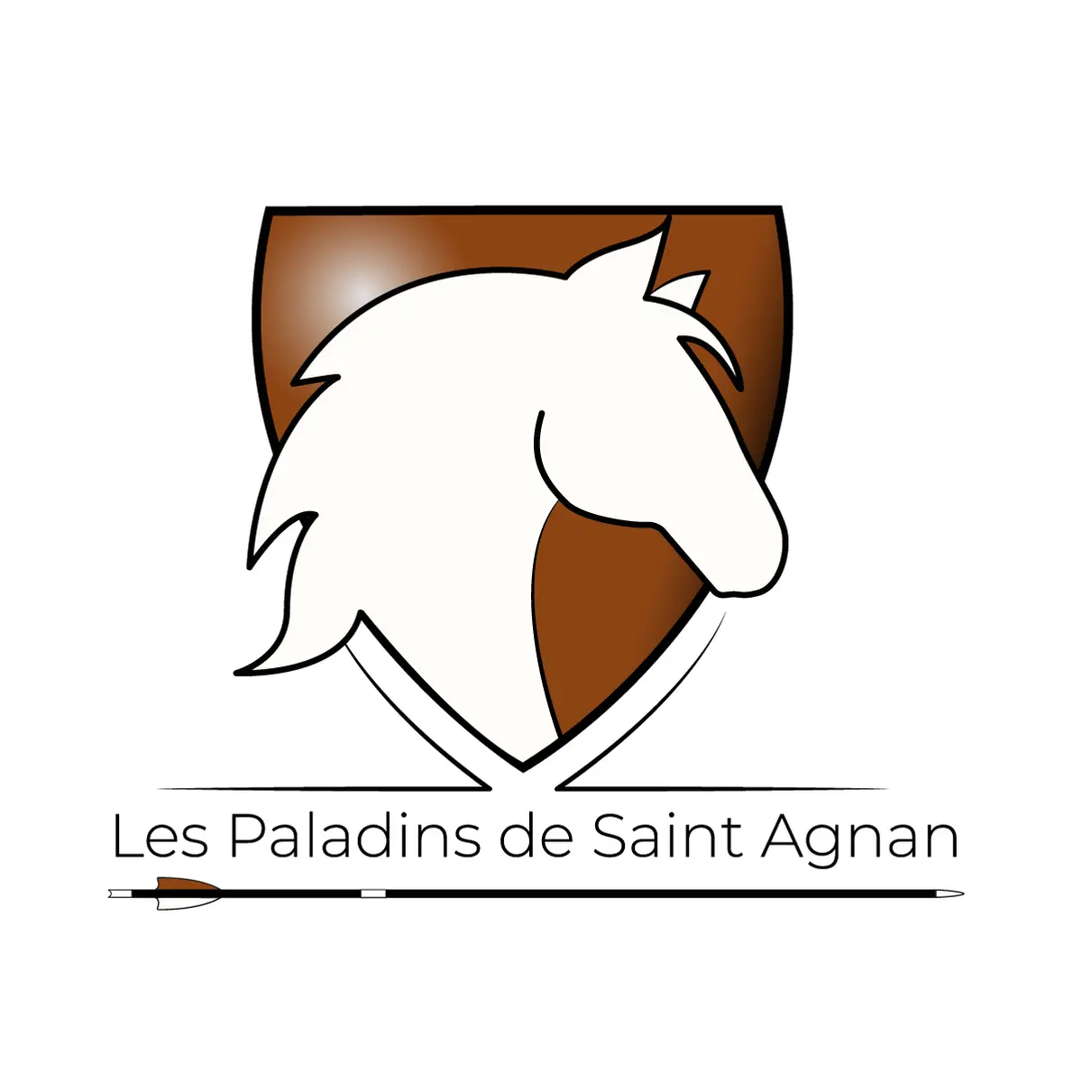Carnaval à poney et à cheval avec Les Paladins de Saint-Agnan