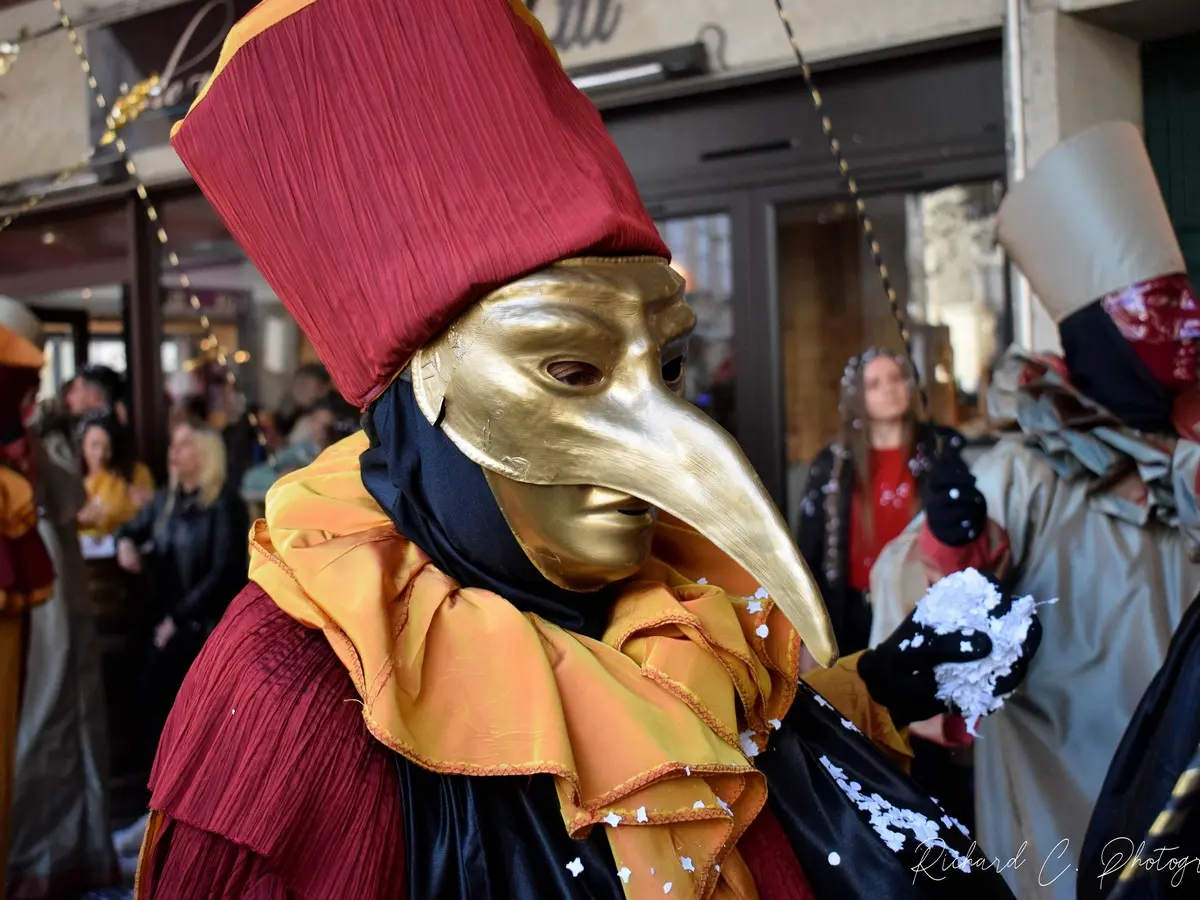 Carnaval De Limoux 2027 - Les Jouves Et Les Limouxins