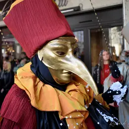 Carnaval De Limoux 2027 - Les Jouves Et Les Limouxins