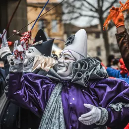 Carnaval De Limoux 2027 - Les Mainatches Et  Les Copin'S