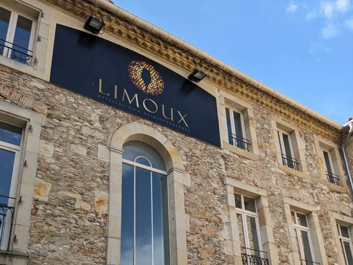 Carnaval De Limoux - Artistes D’hier Et D’aujourd’hui