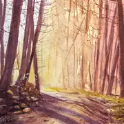 Carrefour des Arts : Thomas Clément