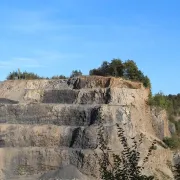 Carrière en exploitation et biodiversité