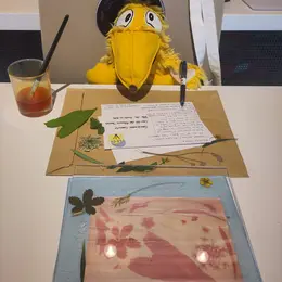 Carte Postale Au Curcuma
