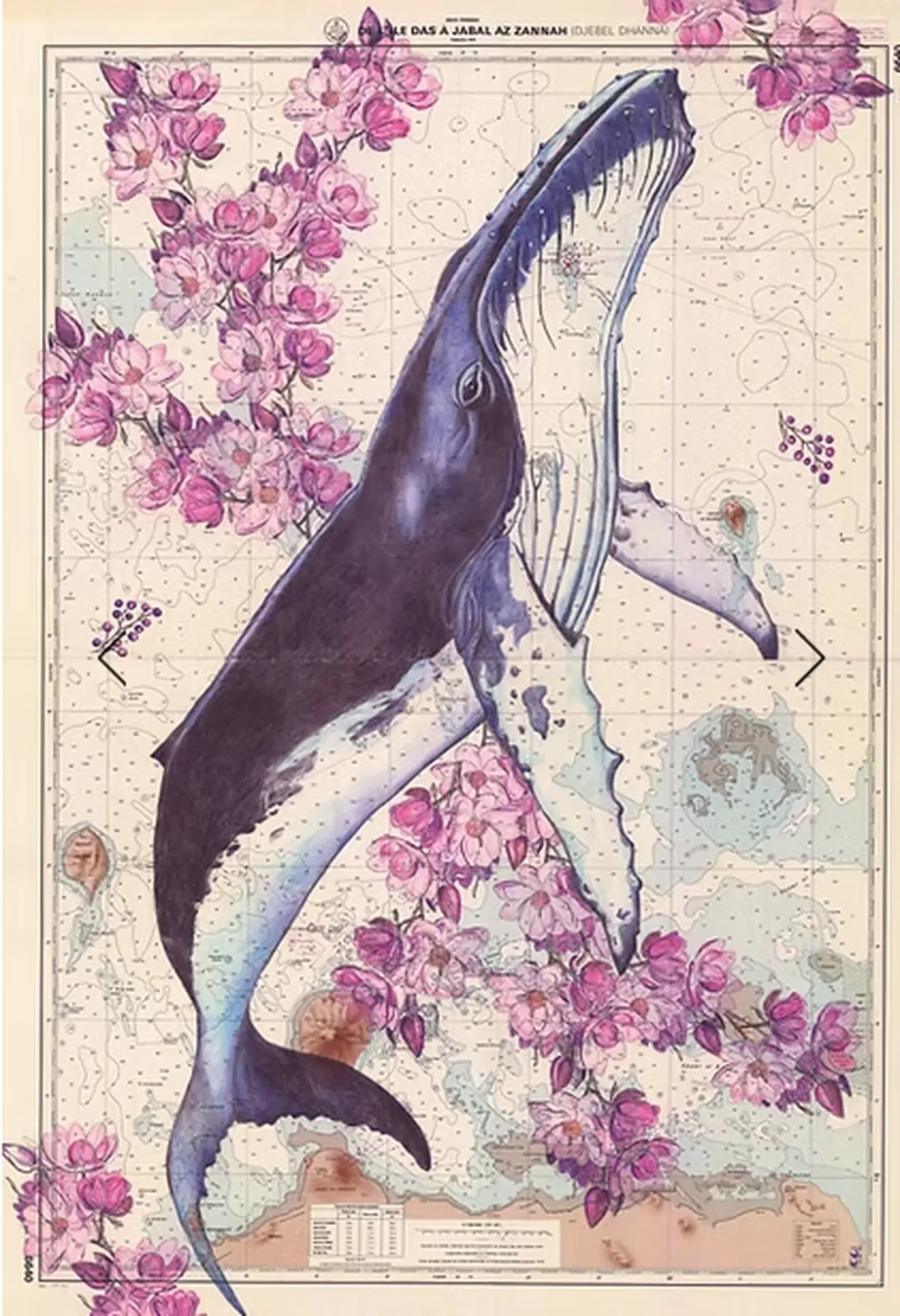 Cartes marines - Saison Ah ?