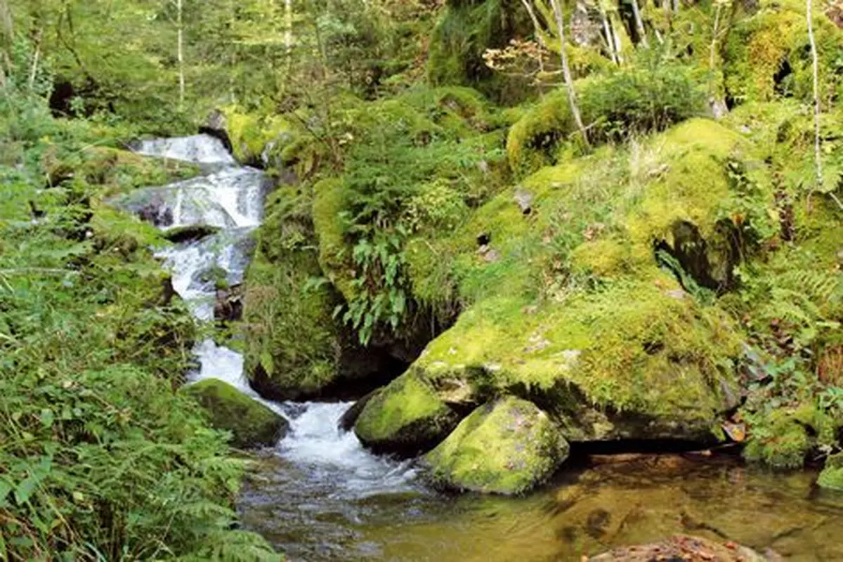 Cascade Saint-Nicolas à Oderen