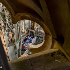 Casse-croûte de Quasimodo - repas insolite