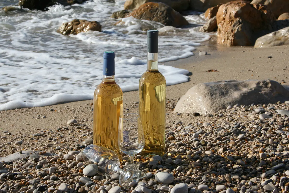 Cassis fête son vin - 90 ans de l'AOC