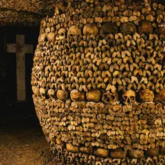 Catacombes de Paris : Billet d'entrée + croisière sur la Seine + audioguide