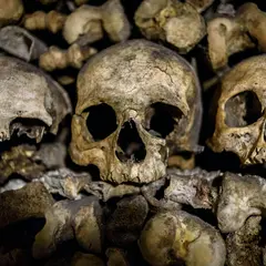 Catacombes de Paris : Visite guidée en anglais