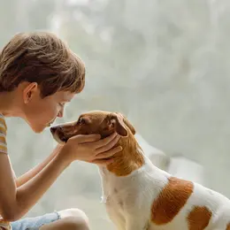 Cathédrale, jouets antiques, chiens… les musées de Strasbourg sortent le grand jeu pour les vacances