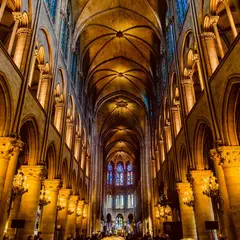 Cathédrale Notre-Dame de Paris : Visite guidée