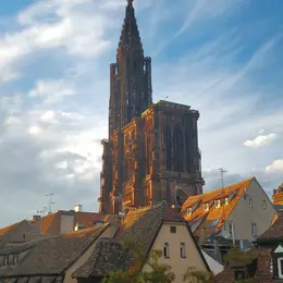 5 trucs insolites sur la Cathédrale Notre-Dame de Strasbourg