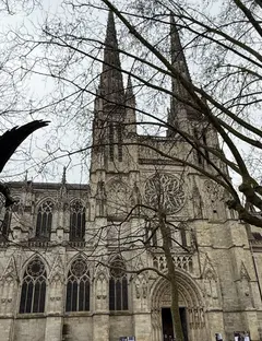 Cathédrale Saint-André