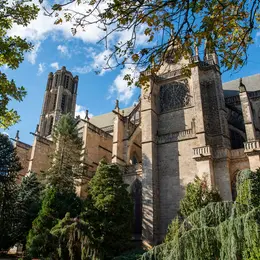 Cathédrale Saint-Etienne - Visite guidée