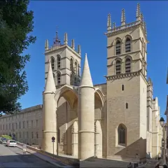 Cathédrale Saint-Pierre de Montpellier