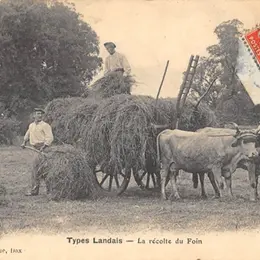 Causerie Fenaisons et prairies usagères en Chalosse du Moyen-Age à nos jours