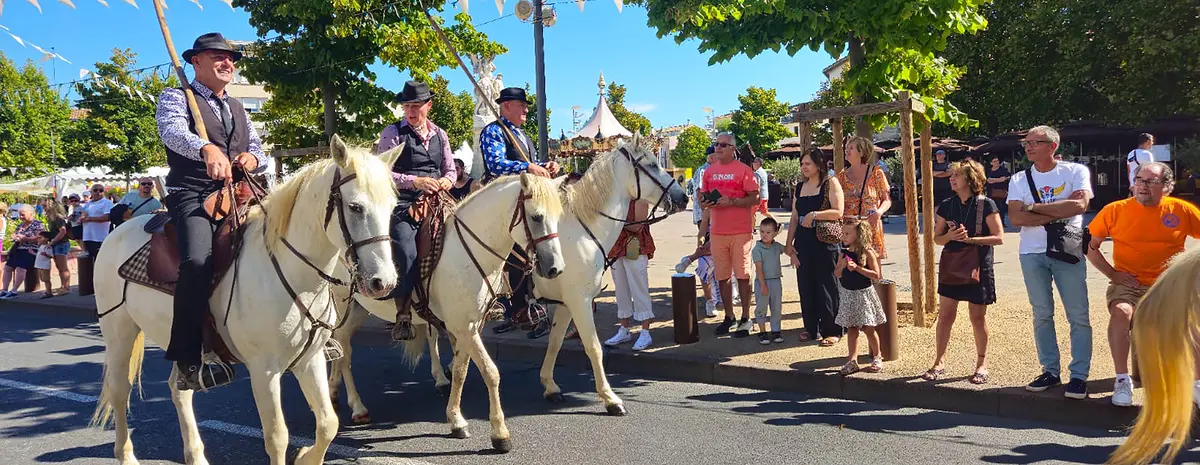 Cavalcade d'Aubagne