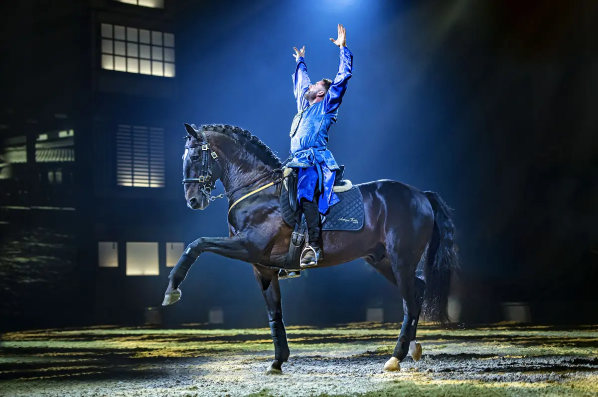 Dressage à main levée par Alejandro Barrionuevo