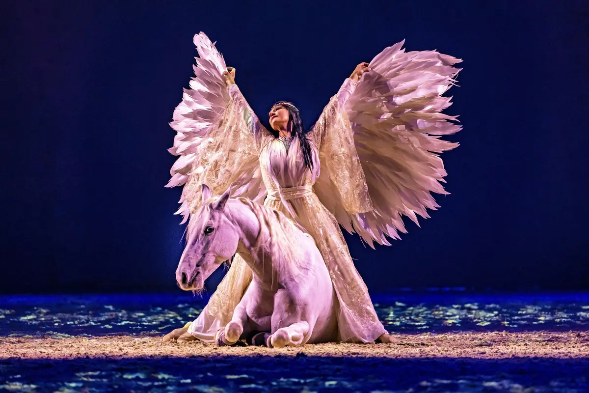 Du dressage en liberté, avec Sylvie Willms