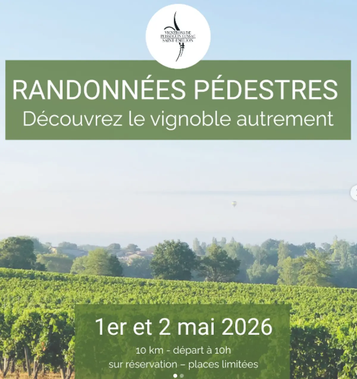 Cave des Vignerons de Puisseguin Lussac Saint-Emilion : Randonnées pédestres